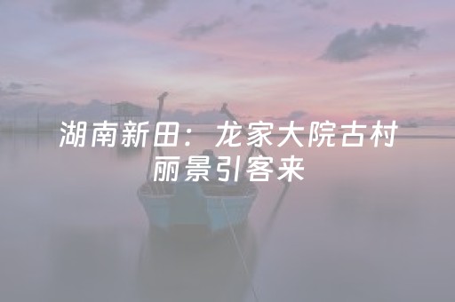 湖南新田：龙家大院古村丽景引客来（组图）