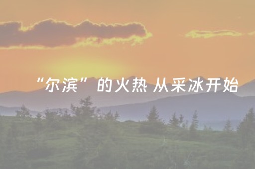 “尔滨”的火热 从采冰开始