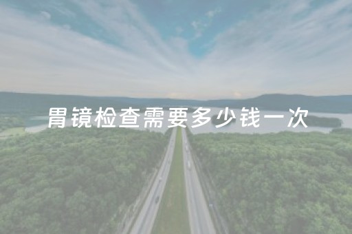 胃镜检查需要多少钱一次（胃镜检查需要多少钱一次无痛）