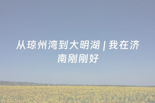 从琼州湾到大明湖 | 我在济南刚刚好