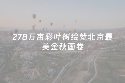 278万亩彩叶树绘就北京最美金秋画卷