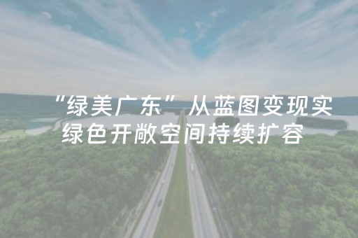 “绿美广东”从蓝图变现实 绿色开敞空间持续扩容