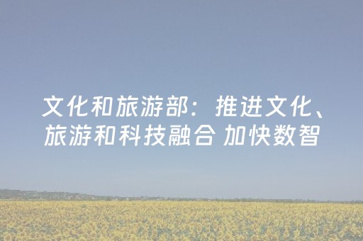 文化和旅游部：推进文化、旅游和科技融合 加快数智化赋能、信息化转型