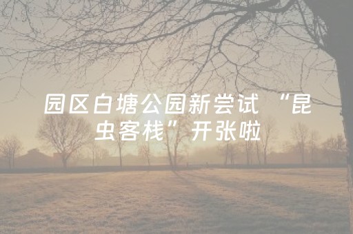 园区白塘公园新尝试 “昆虫客栈”开张啦