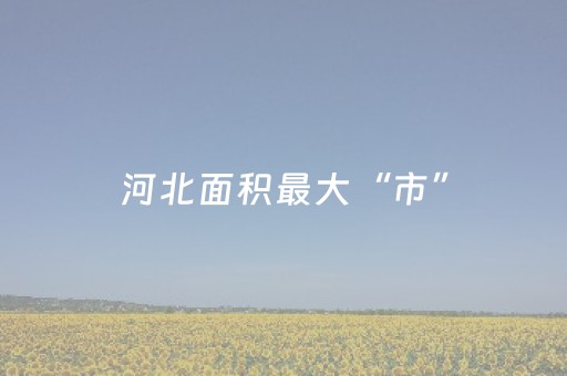 河北面积最大“市”，到底有多大？比3个邢台，4个衡水还要大！