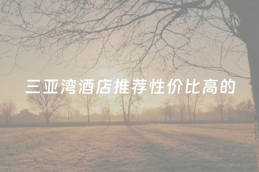 三亚湾酒店推荐性价比高的（三亚湾性价比最高的酒店）