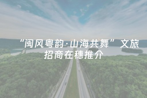 “闽风粤韵·山海共舞”文旅招商在穗推介
