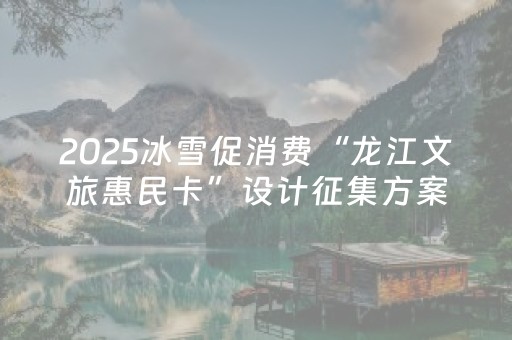 2025冰雪促消费“龙江文旅惠民卡”设计征集方案
