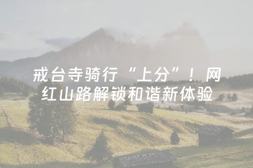 戒台寺骑行“上分”！网红山路解锁和谐新体验