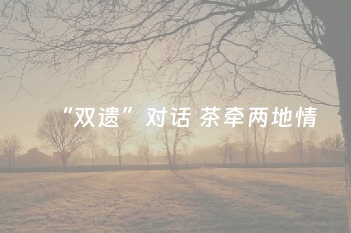 “双遗”对话 茶牵两地情