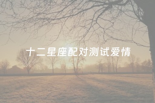 十二星座配对测试爱情（欧米茄星座系列男表价格及图片）