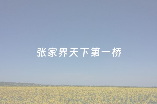 张家界天下第一桥（张家界天下第一桥许愿锁）