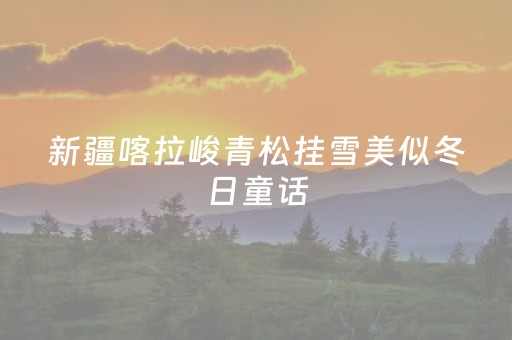 新疆喀拉峻青松挂雪美似冬日童话