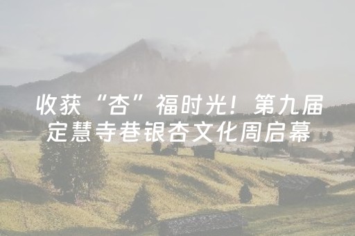 收获“杏”福时光！第九届定慧寺巷银杏文化周启幕