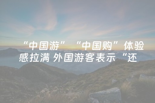 “中国游”“中国购”体验感拉满 外国游客表示“还会再来”