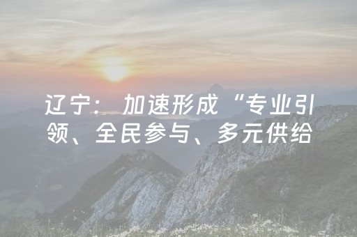 辽宁： 加速形成“专业引领、全民参与、多元供给”的群众性冰雪赛事体系