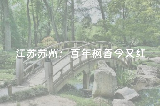 江苏苏州：百年枫香今又红