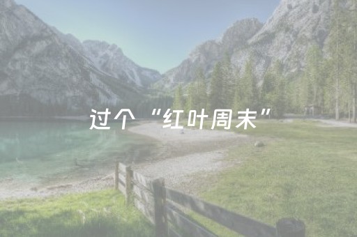 过个“红叶周末”