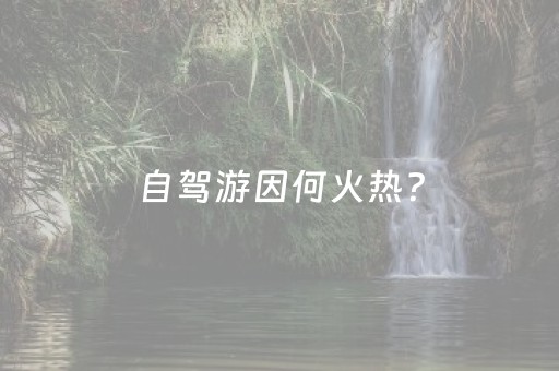 自驾游因何火热？