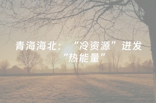 青海海北：“冷资源”迸发“热能量”