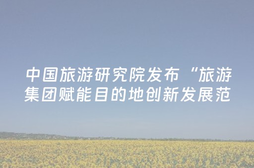 中国旅游研究院发布“旅游集团赋能目的地创新发展范例”城关区一项目入选