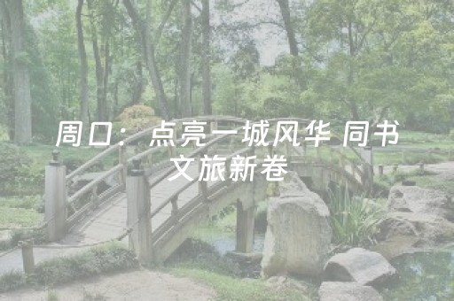 周口：点亮一城风华 同书文旅新卷