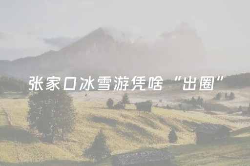 张家口冰雪游凭啥“出圈”