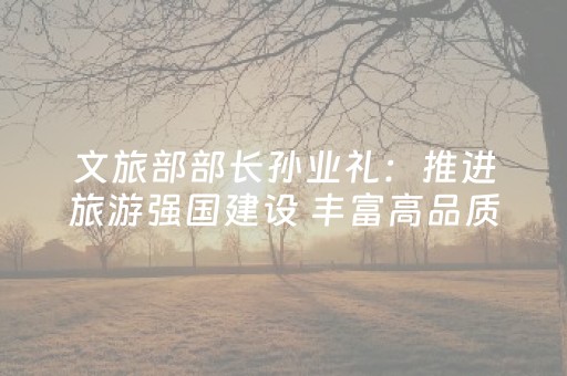 文旅部部长孙业礼：推进旅游强国建设 丰富高品质旅游产品供给