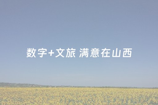 数字+文旅 满意在山西