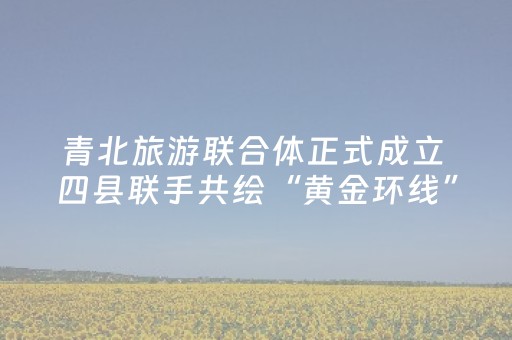 青北旅游联合体正式成立 四县联手共绘“黄金环线”新蓝图