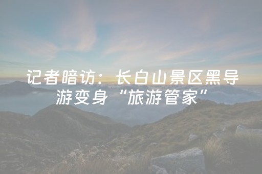 记者暗访：长白山景区黑导游变身“旅游管家”