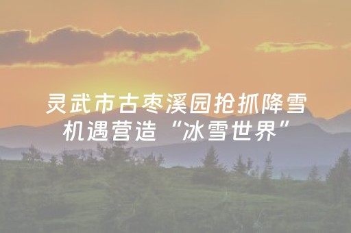 灵武市古枣溪园抢抓降雪机遇营造“冰雪世界”