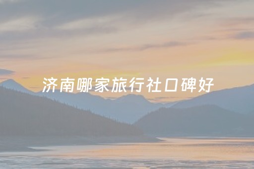 济南哪家旅行社口碑好（济南有多少家旅行社）