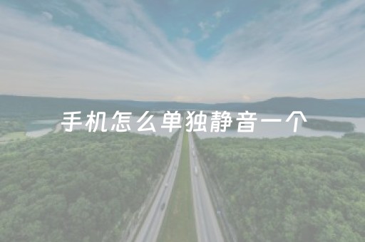 手机怎么单独静音一个
（手机怎么单独静音一个
媒体声音）