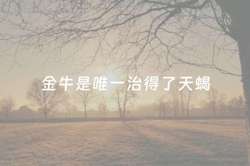 金牛是唯一治得了天蝎（金牛是唯一治得了天蝎 天蝎的毒只有金牛能破）