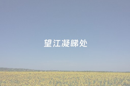 望江凝睇处，千载忆薛涛｜Z世代·上封面