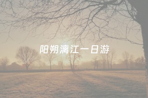 阳朔漓江一日游（阳朔漓江一日游攻略路线图）