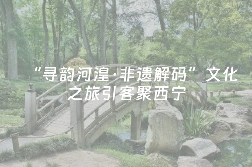 “寻韵河湟·非遗解码”文化之旅引客聚西宁