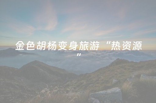 金色胡杨变身旅游“热资源”