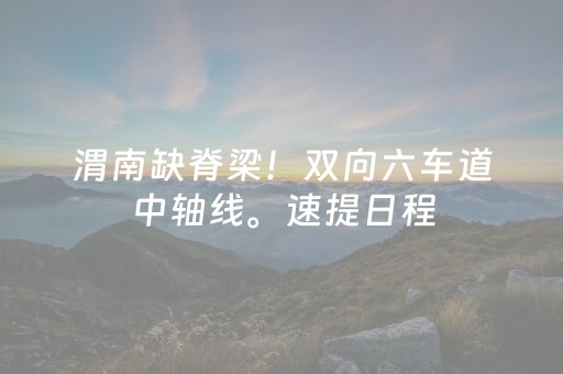 渭南缺脊梁！双向六车道中轴线。速提日程，城市腾飞！