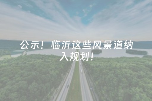 公示！临沂这些风景道纳入规划！