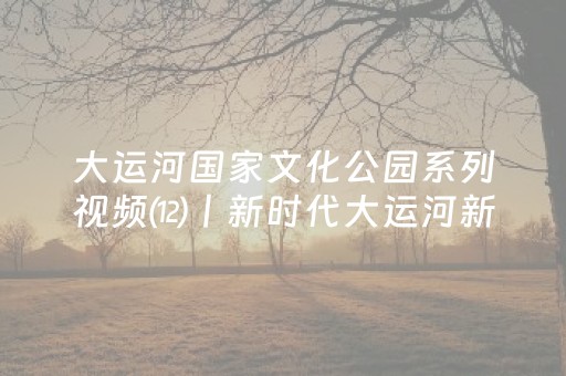 大运河国家文化公园系列视频⑿丨新时代大运河新貌
