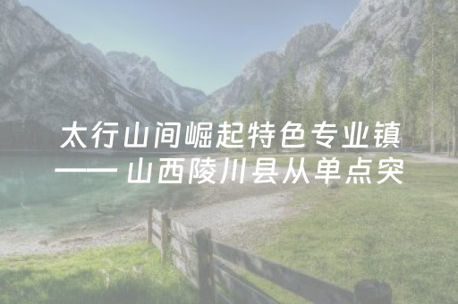 太行山间崛起特色专业镇—— 山西陵川县从单点突破到中药材文旅康养集群跃升的实践观察