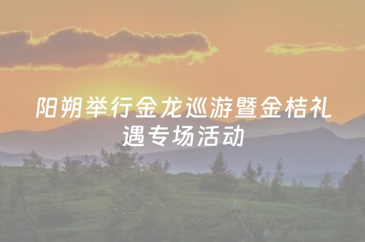 阳朔举行金龙巡游暨金桔礼遇专场活动