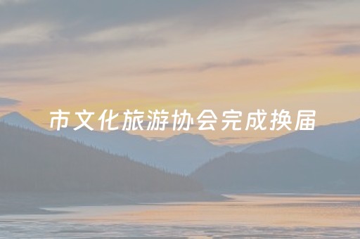 市文化旅游协会完成换届