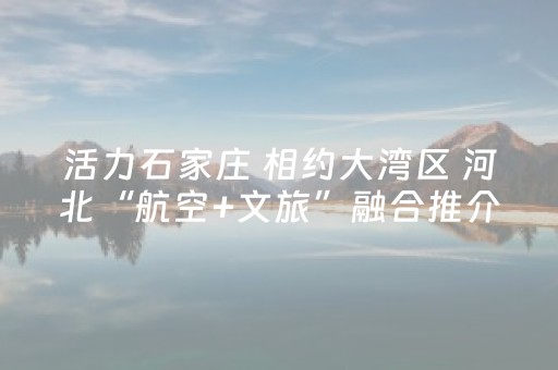 活力石家庄 相约大湾区 河北“航空+文旅”融合推介走进粤港澳大湾区