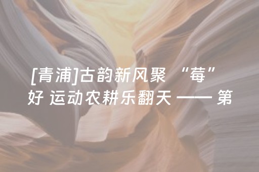 [青浦]古韵新风聚 “莓” 好 运动农耕乐翻天 —— 第十五届白鹤草莓文化节体育展位乐趣满满