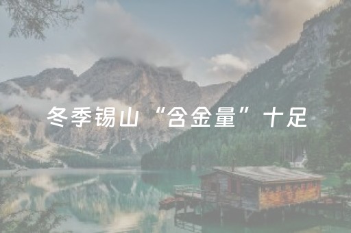 冬季锡山“含金量”十足