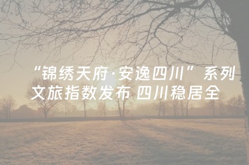 “锦绣天府·安逸四川”系列文旅指数发布 四川稳居全国省级文旅品牌第一梯队
