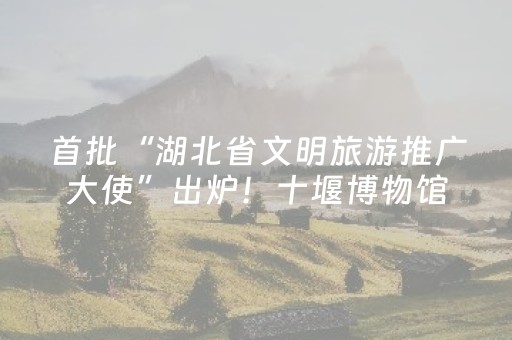 首批“湖北省文明旅游推广大使”出炉！十堰博物馆讲解员李稚上榜
